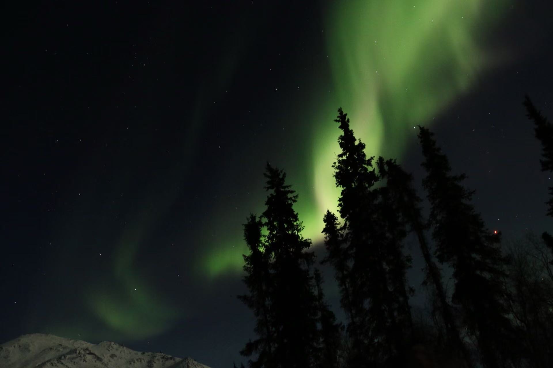 Aurora Borealis dancing over Cold Foot, Alaska